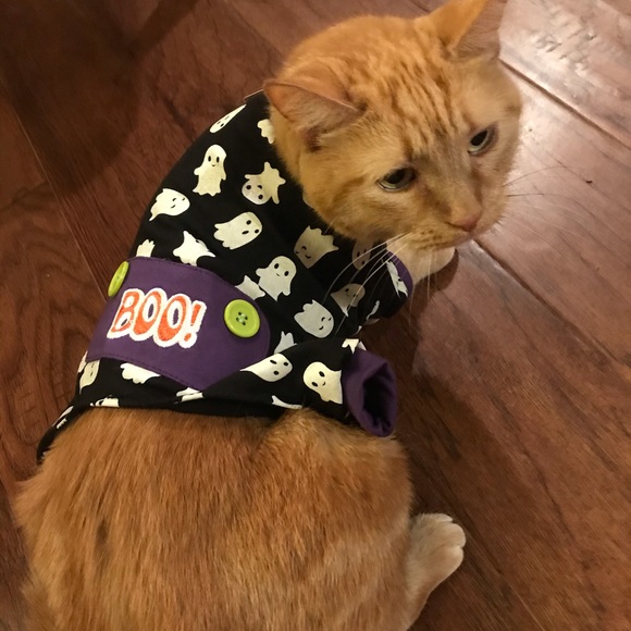 Angela’s Closet ♥️♥️ - Picture 5 of 5